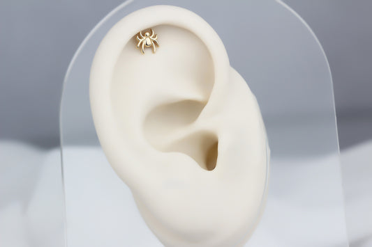14k Solid Gold Spider Helix Piercing - alternate view 2