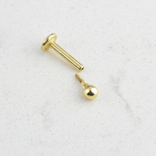 14k Solid Gold Ball Tragus Piercing - alternate view 2