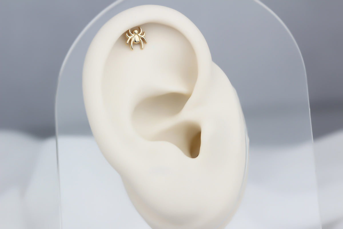 14k Solid Gold Spider Helix Piercing - alternate view 2