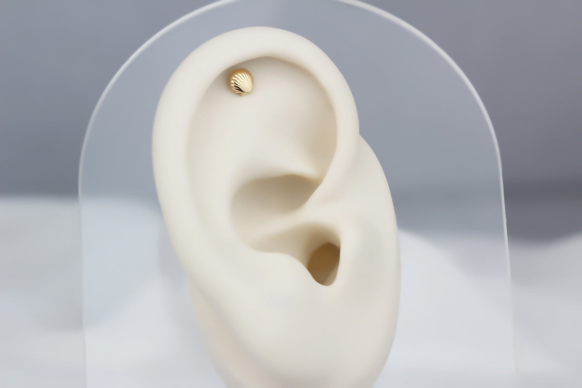 14k Solid Gold Oyster Helix Piercing - alternate view 2