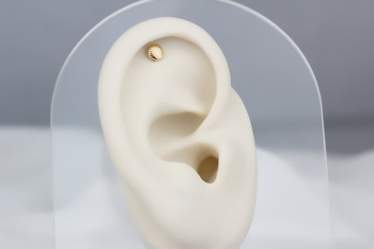 14k Solid Gold Oyster Helix Piercing - alternate view 2