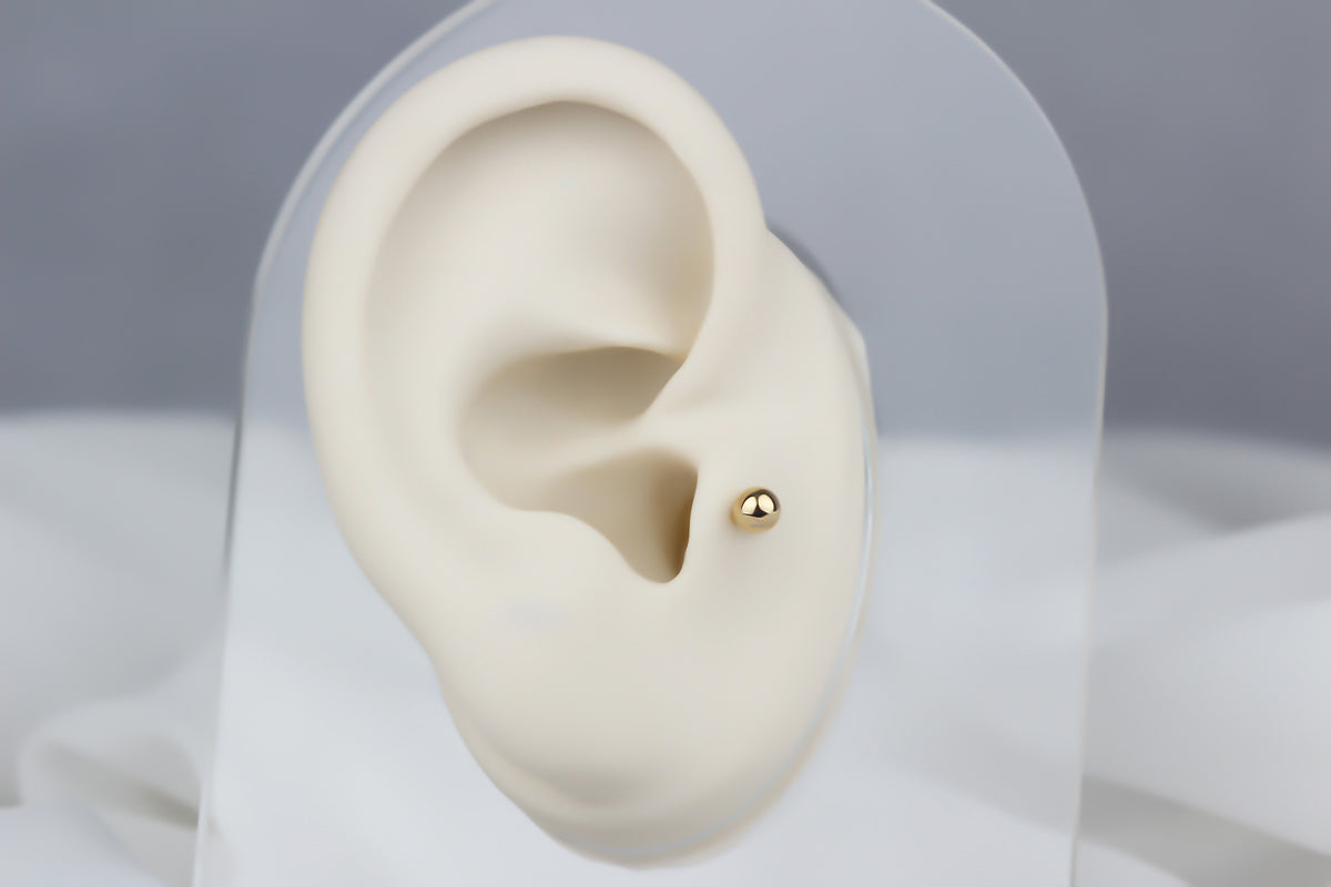 14k Solid Gold Ball Tragus Piercing - alternate view 5
