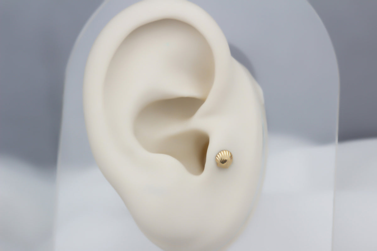 14k Solid Gold Shell Tragus Piercing - alternate view 5
