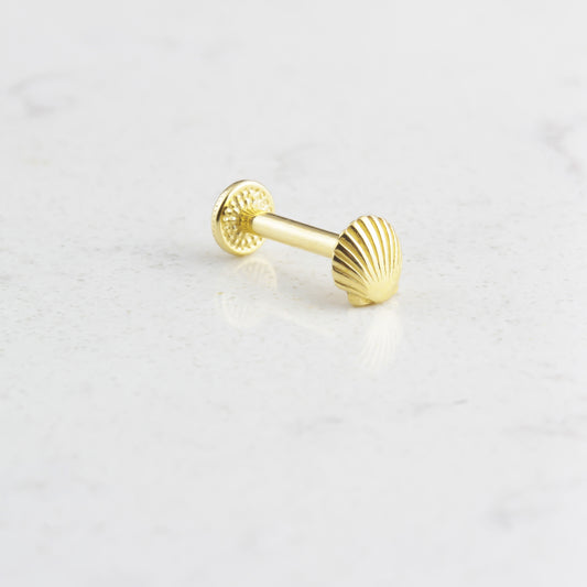 14k Solid Gold Shell Tragus Piercing