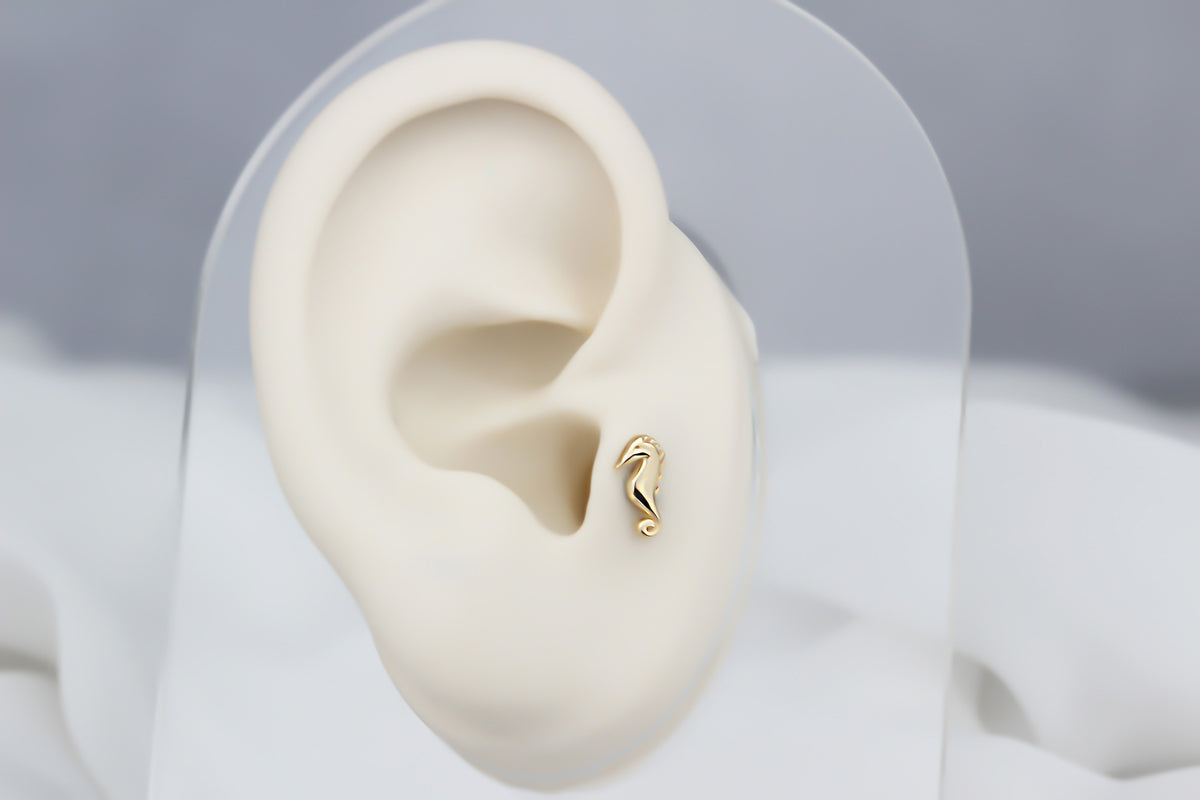 14k Solid Gold Seahorse Tragus Piercing - alternate view 5