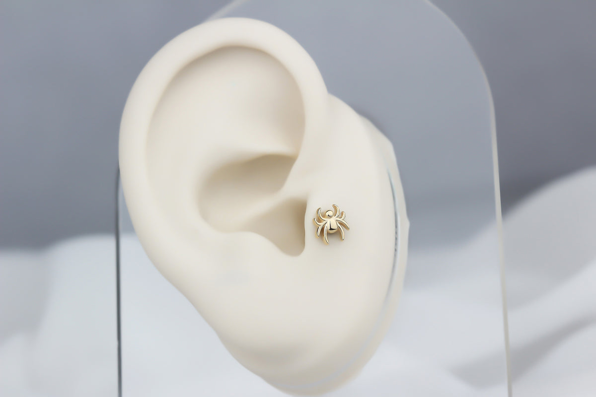 14k Solid Gold Spider Tragus Piercing - alternate view 5