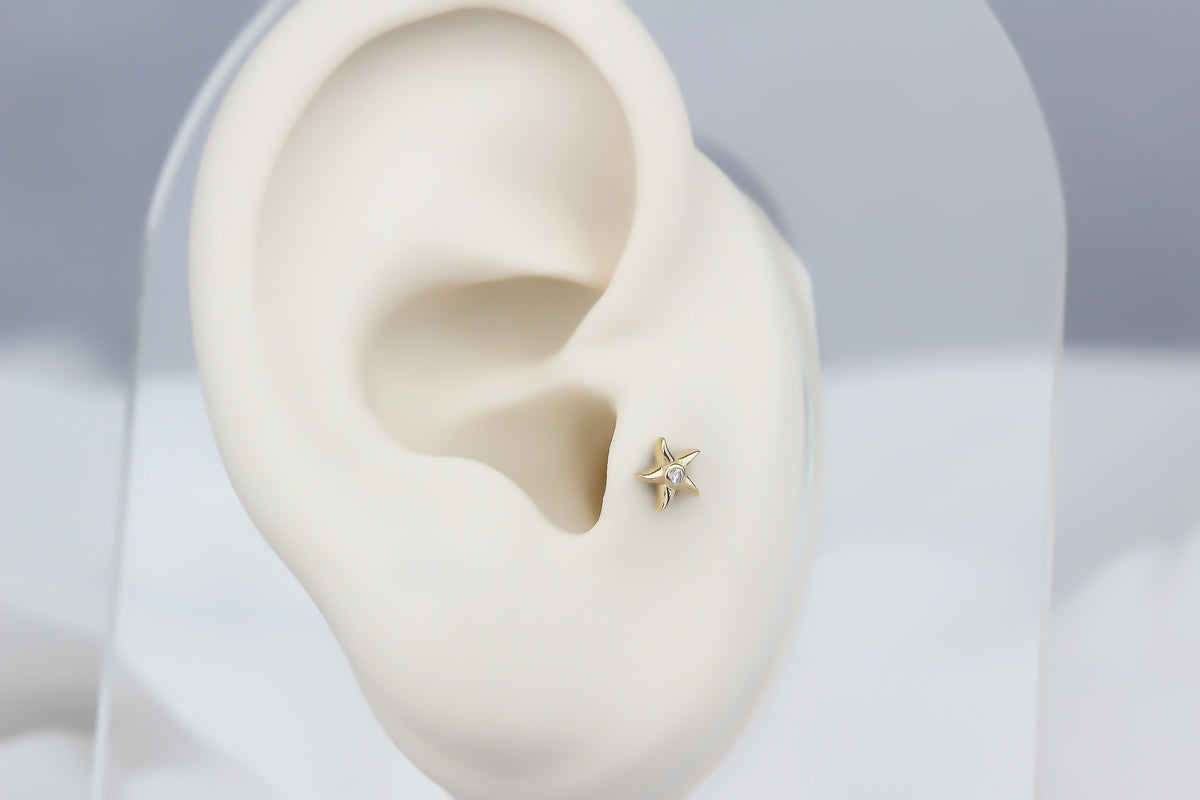 14k Solid Gold Starfish Tragus Piercing - alternate view 5