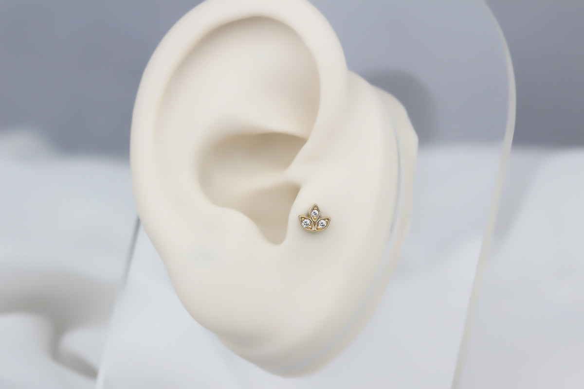 14k Solid Gold Flower Tragus Piercing - alternate view 5