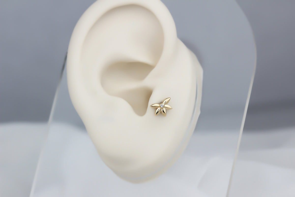 14k Solid Gold Clover Tragus Piercing - alternate view 5
